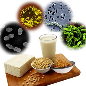 probioticos-alimentos