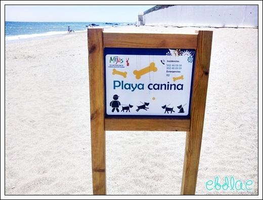 Playa Canina