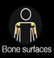 bone surfaces