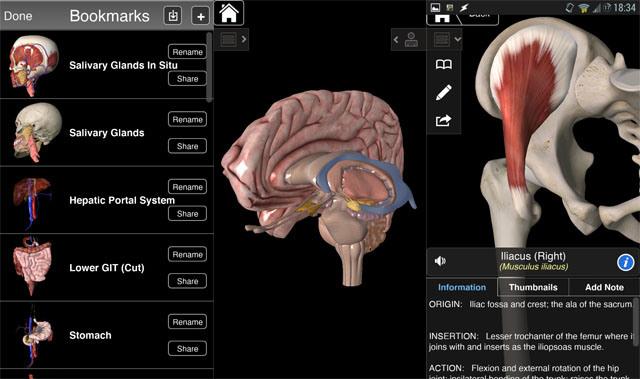 essential-anatomy-atlas2