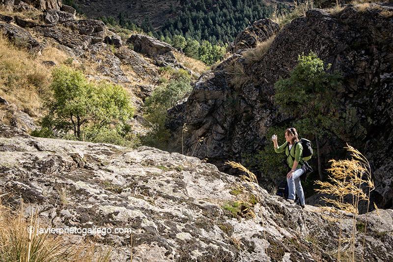 Río Cambrones. Sierra de Guadarrama. La Granja de San Ildefonso. Segovia. Castilla y León. España. © Javier Prieto Gallego