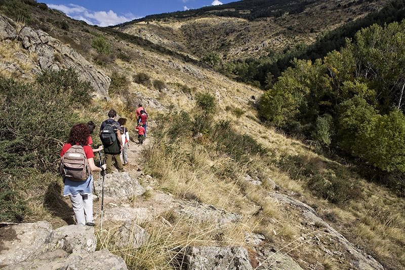 Río Cambrones. Sierra de Guadarrama. La Granja de San Ildefonso. Segovia. Castilla y León. España. © Javier Prieto Gallego
