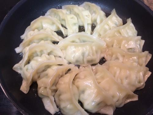 Friendo las Gyozas