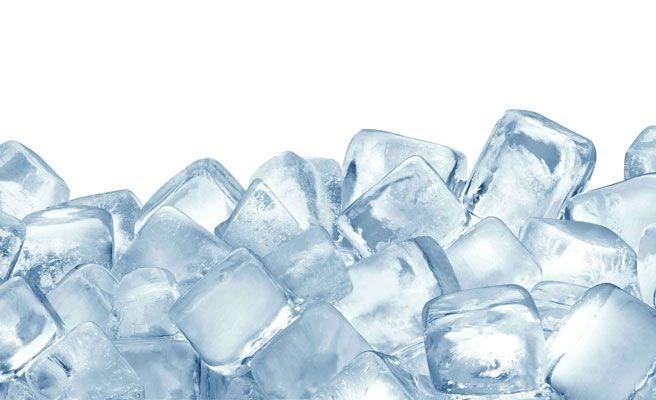 adelgazar_flordselva