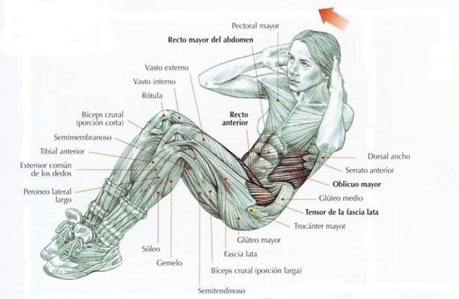 elevaciones-tronco-suelo