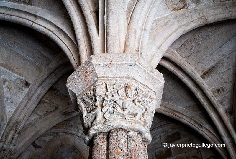 Sala capitular del Santa María de Carracedo. El Bierzo. León. Castilla y León. España. © Javier Prieto Gallego