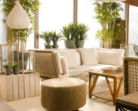 882846_553874501300950_1758315596_o