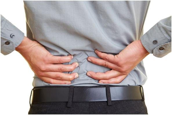 Dolor en Espalda Baja Lumbares Guía para el Paciente de Dolor Crónico de Espalda Baja