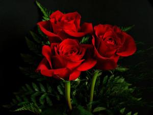 rojo el color del amor