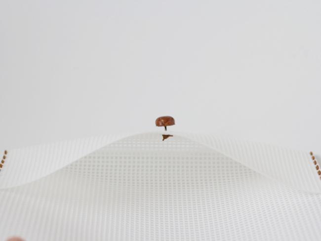 portatodo como hacer 3