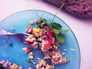 publier-facebook-twitter