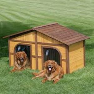 Casas Para Perros (2)
