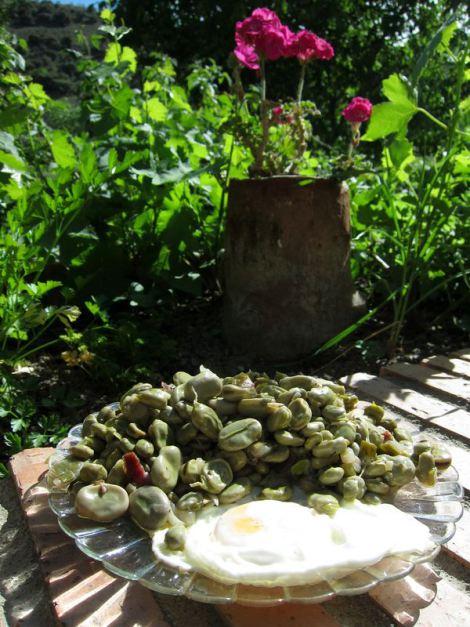 habas-con-jamon-y-huevos-fritos-