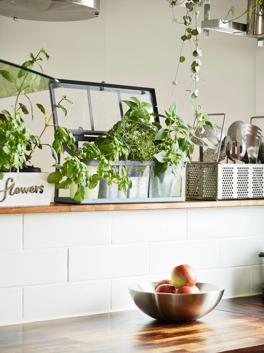 deco-summer-home (4)
