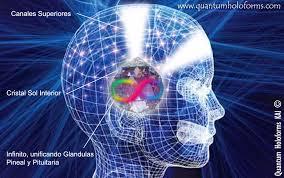 glandula-pineal