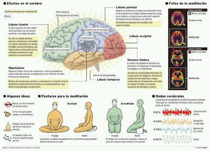 Efectos de la meditación en el cerebro