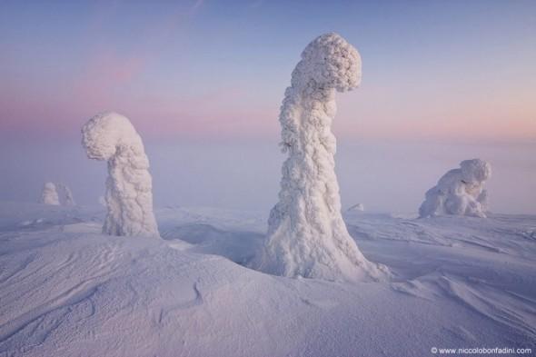 Los "Centinelas" del Ártico en Finlandia son realmente gigantescos árboles cubiertos de nieve y hielo. Esta extraña imagen se produce en invierno, cuando las temperaturas oscilan desde -40 hasta -15 grados centígrados