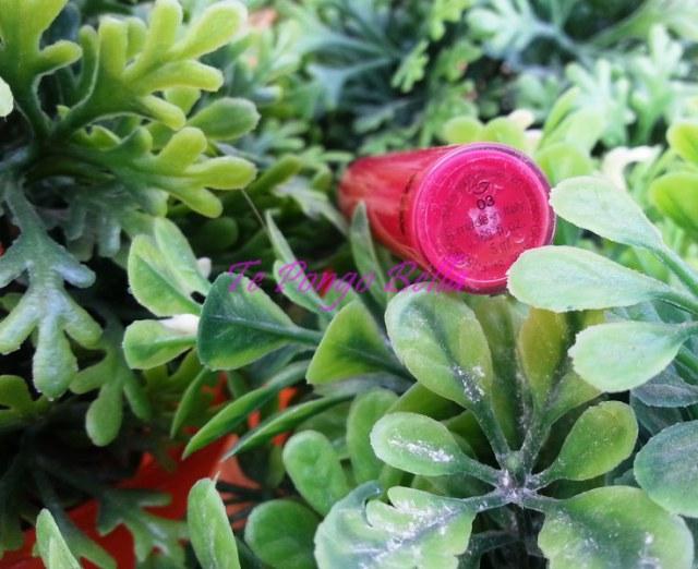 20141005_144429 (Copiar)