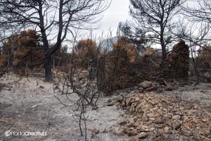 La escena / The scene