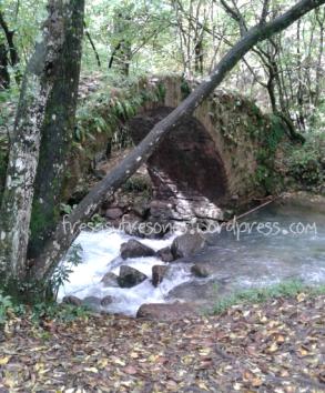 Río Llobregat