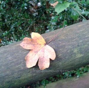 Fuentes del Llobregat