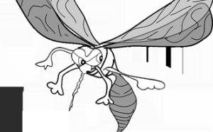 Picadura de mosquito: alivia el escozor con bicarbonato