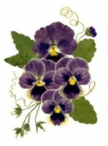 flor12