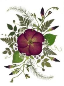 flor11