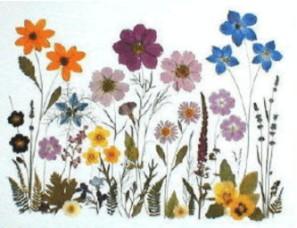 flor05