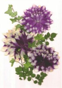 flor02