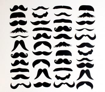 bigotes