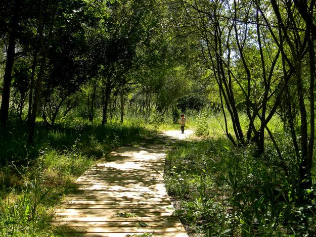 piragua, viajar con niños, excursiones, aljarafe, doñana, guadiamar, tarajal