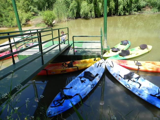 piragua, viajar con niños, excursiones, aljarafe, doñana, guadiamar