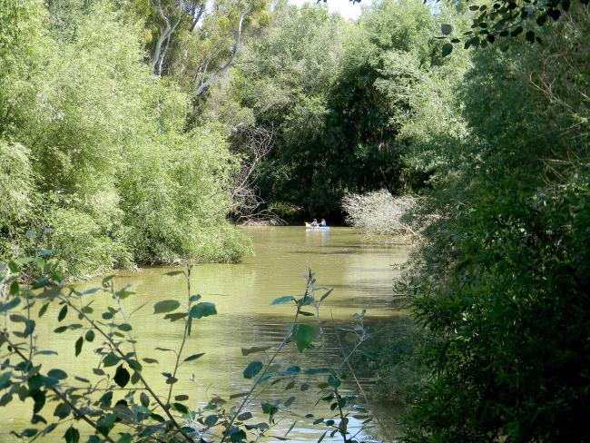 piragua, viajar con niños, excursiones, aljarafe, doñana, guadiamar