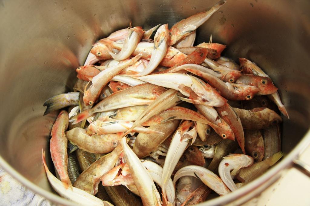 El Pescado de Roqueo