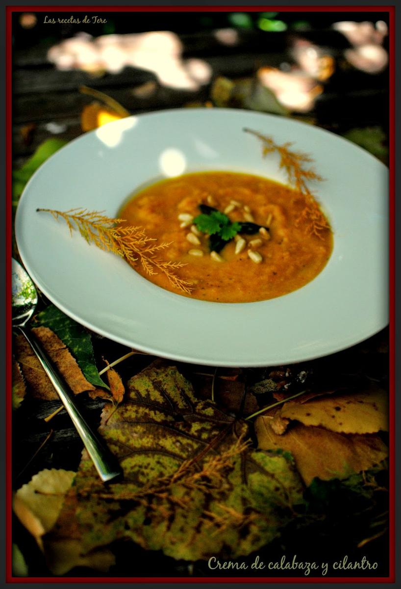 crema de calabaza y cilantro las recetas de tere 03