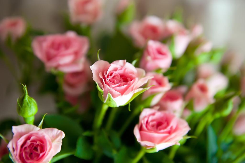 agasajos en Bodas de Plata