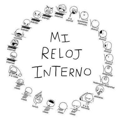 DIETA, HÁBITOS, EJERCICIOS, PRODUCTOS Y FILOSOFÍA para conseguir una cintura 10!