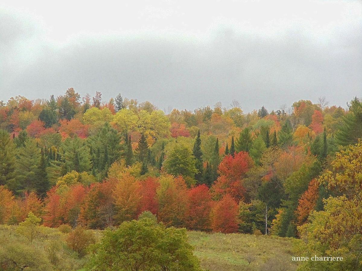 annecharriere.com, cambio de color de las hojas, colores de otoño,
