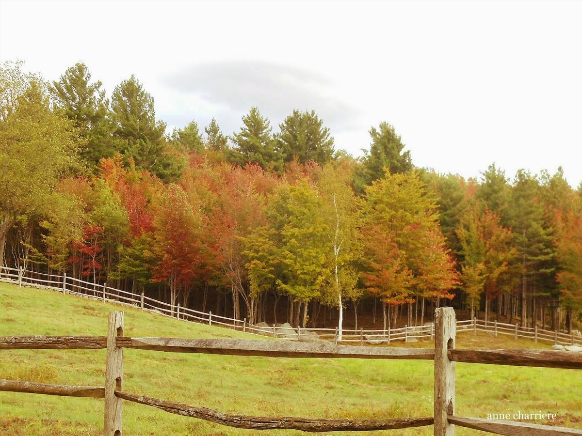annecharriere.com, cambio de color de las hojas, colores de otoño,