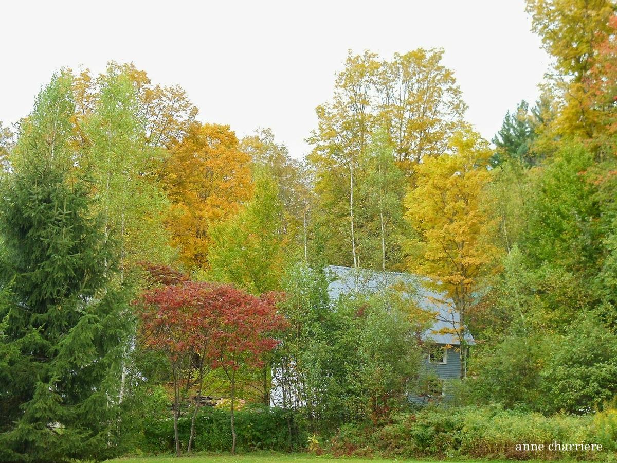 annecharriere.com, cambio de color de las hojas, colores de otoño,
