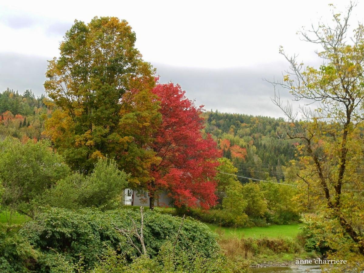 annecharriere.com, cambio de color de las hojas, colores de otoño,