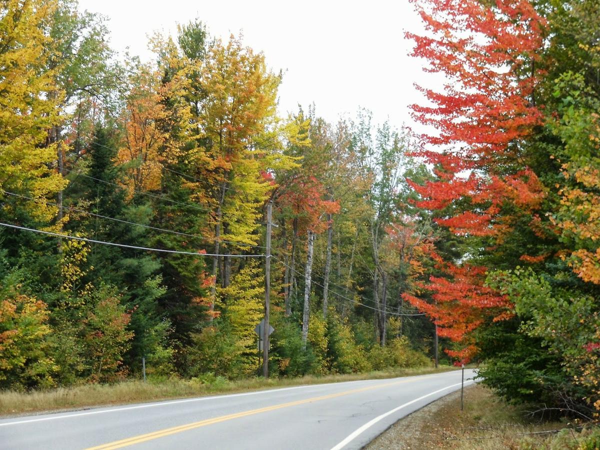 annecharriere.com, cambio de color de las hojas, colores de otoño,