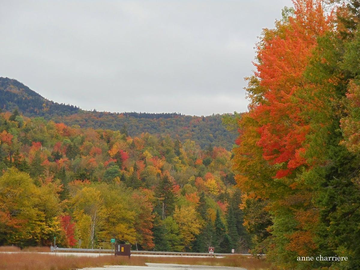 annecharriere.com, cambio de color de las hojas, colores de otoño,