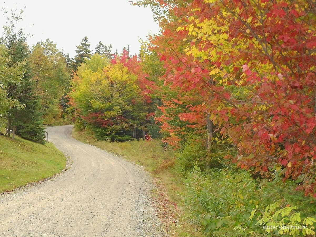 annecharriere.com, cambio de color de las hojas, colores de otoño,