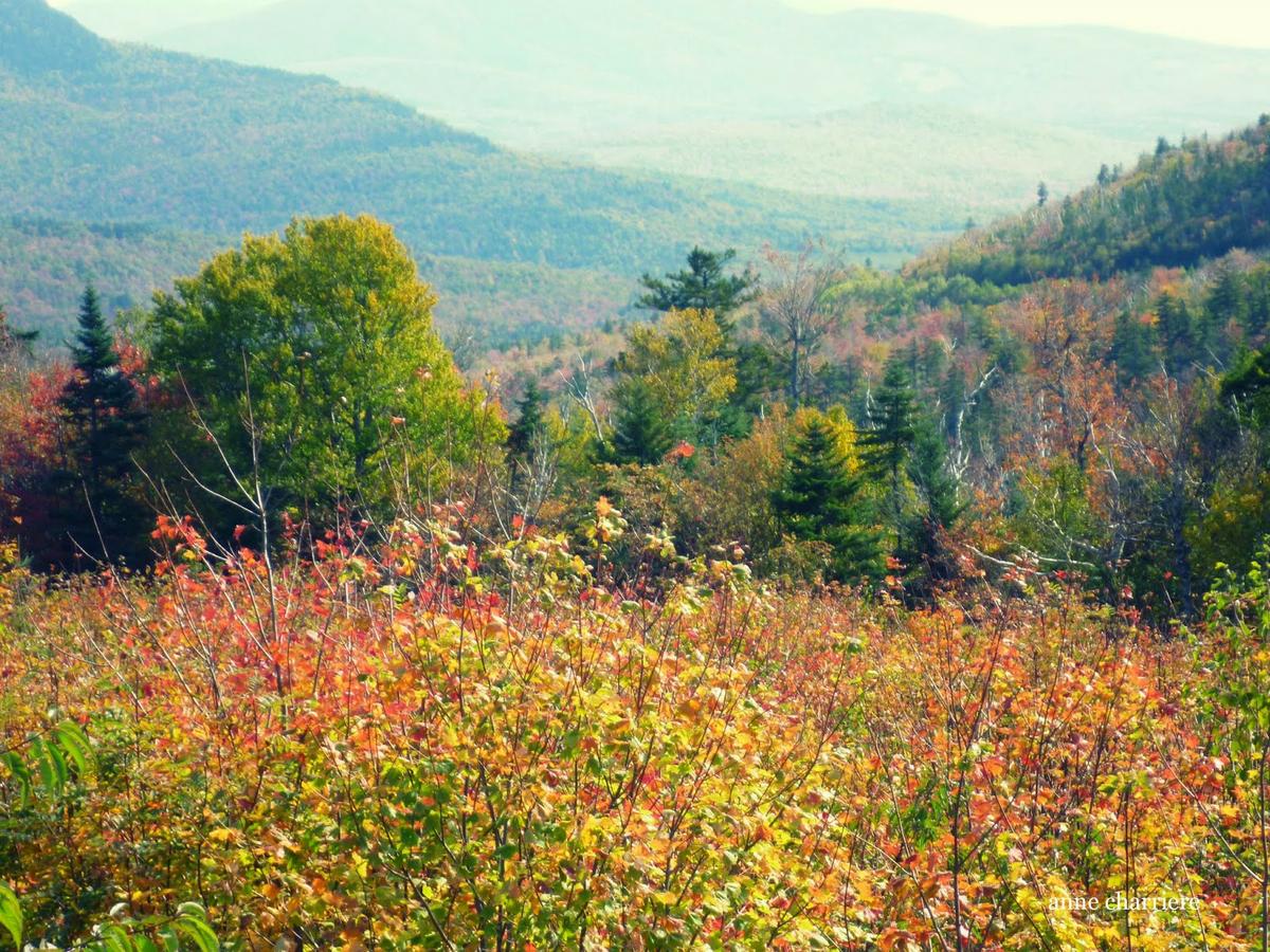 annecharriere.com, cambio de color de las hojas, colores de otoño,