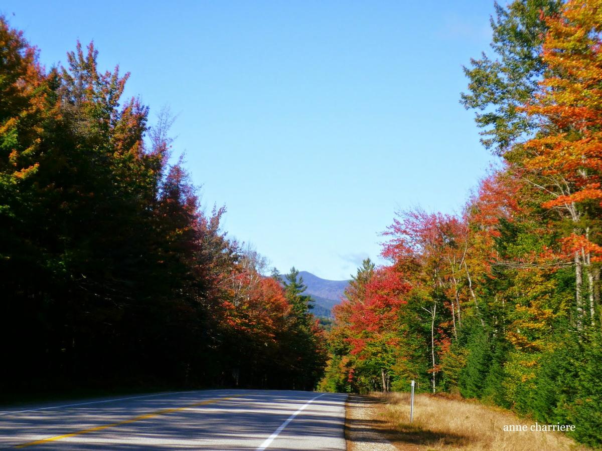 annecharriere.com, cambio de color de las hojas, colores de otoño,