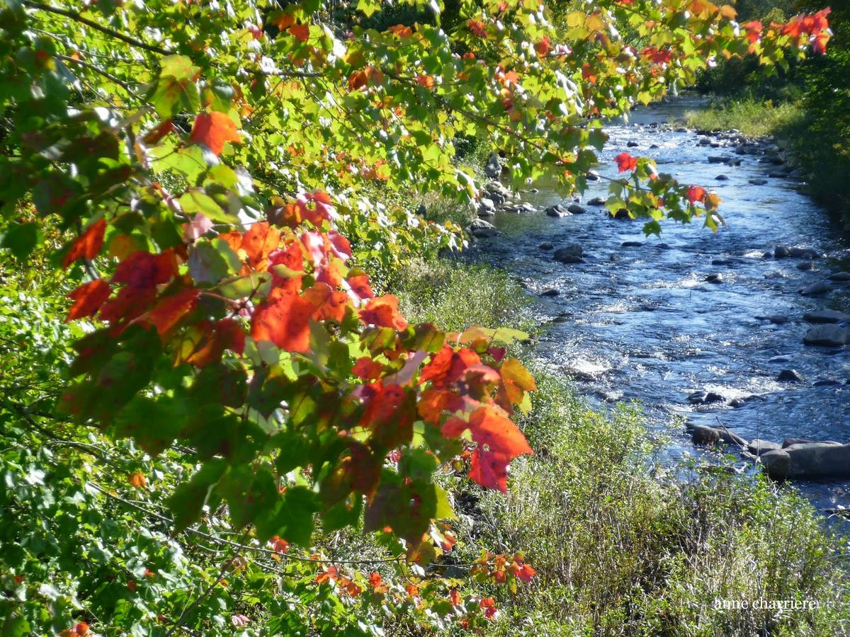 annecharriere.com, cambio de color de las hojas, colores de otoño,