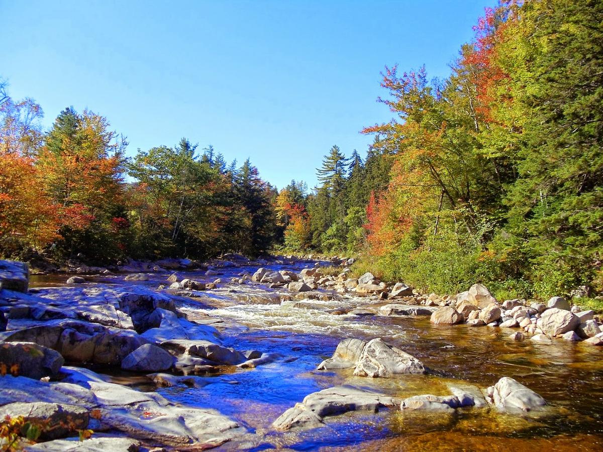 annecharriere.com, cambio de color de las hojas, colores de otoño,