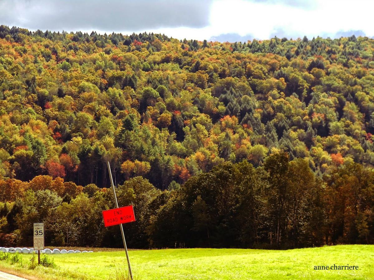 annecharriere.com, cambio de color de las hojas, colores de otoño,